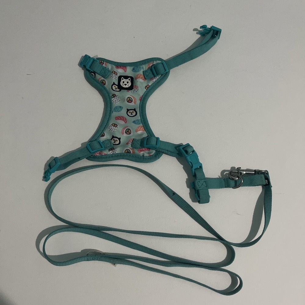 Vibrant Life‎ Cat Harness & Leash, 5-10 Lbs, Blue